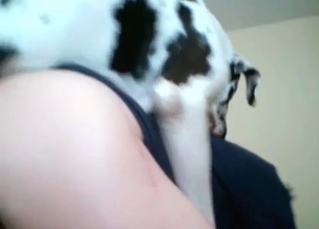 Hardcore banging with a lusty dog