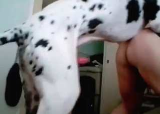 Hardcore banging with a lusty dog