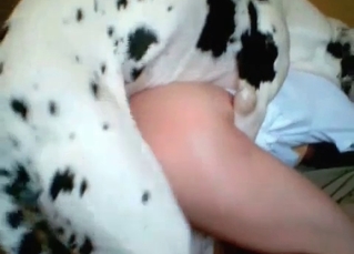Hardcore banging with a lusty dog