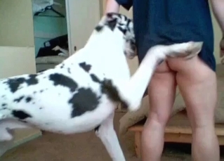 Hardcore banging with a lusty dog