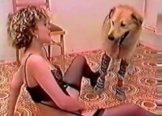 Stunning chick fucked by a dog