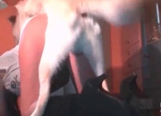 Wife fucking with passion by a dog