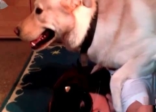Wife fucking with passion by a dog