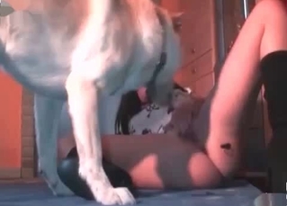 Wife fucking with passion by a dog