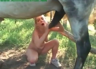 Massive horse cock being shown