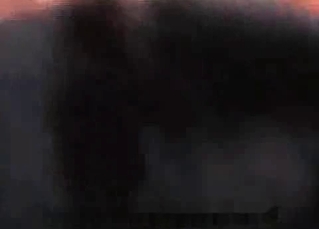 Black chick gets fucked by a horny animal