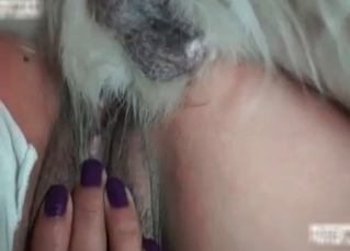 Hot dog licking her pussy