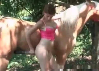 Zoophile chick and a stallion