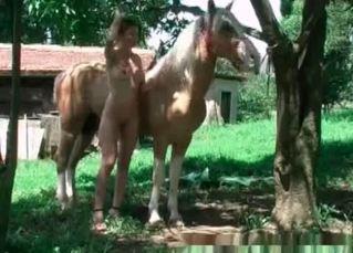 Zoophile chick and a stallion