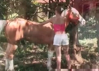 Zoophile chick and a stallion