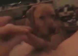 Obedient doggy takes a cock