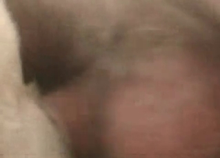 Dog gets into some fingering
