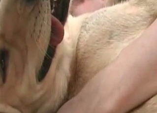 Dog gets into some fingering