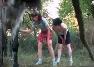 Horse fucking chicks like a pro