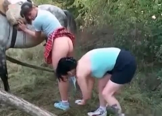 Horse fucking chicks like a pro