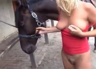 Kinky horse fucking a blonde