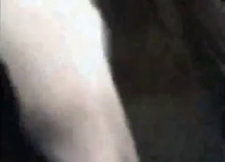 Glorious fuck-fest with a horse