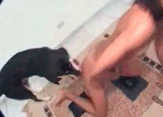 Cute little hole licked by a puppy