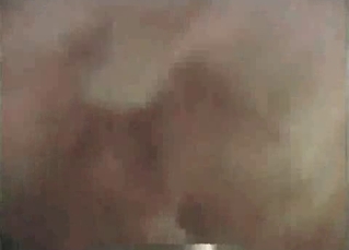 Brown hound fucking on cam