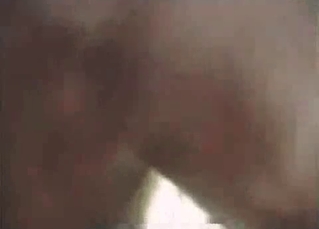 Brown hound fucking on cam