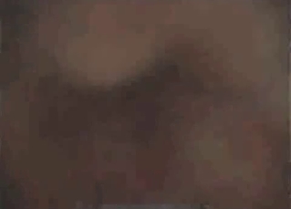 Brown hound fucking on cam