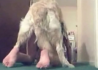 Bedroom sexy times with a hound