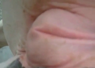 Anal finger fucking with animals