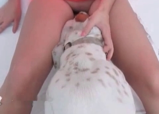 This girl’s pussy is polished by a pet