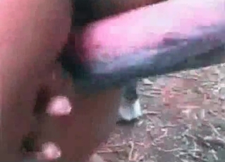 Brunette fucking a horse