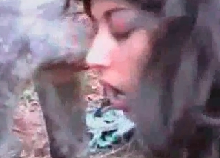 Brunette fucking a horse