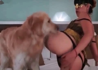 She’s just teasing her pet
