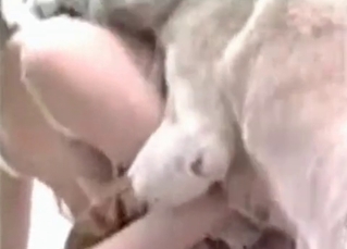 Deep penetration by a hot dog