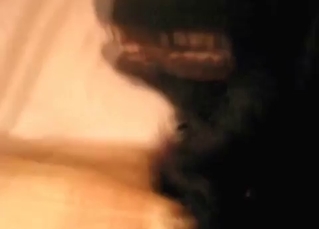 His hard boner pleasured by an animal