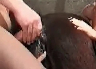 Incredibly passionate zoophile action