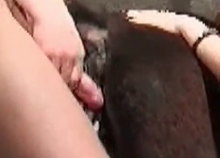 Incredibly passionate zoophile action