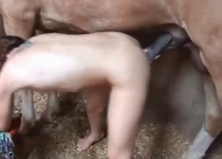 Teen fucking with a stallion
