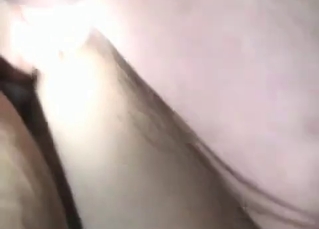 Anal sex for a stallion