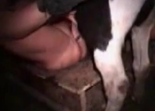 Tight pussy destroyed by a horse