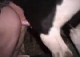 Tight pussy destroyed by a horse