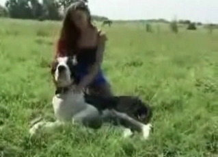 Hot sex scene with a dog