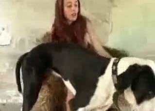 Hot sex scene with a dog
