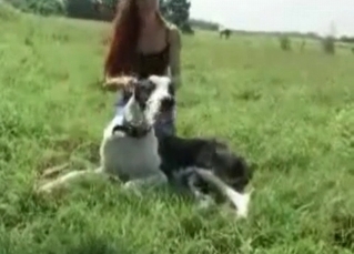 Hot sex scene with a dog