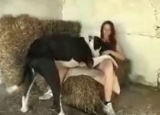 Hot sex scene with a dog