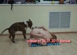 Stripper lets a dog enjoy it
