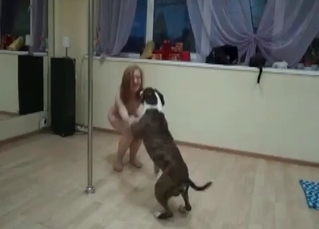 Stripper lets a dog enjoy it