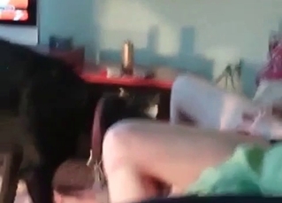 Intense dog pounding