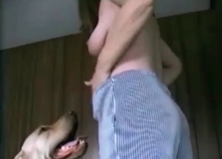 Retriever being all dirty on cam