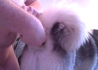 Dog’s ass gets in big trouble