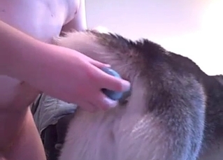 Dog’s ass gets in big trouble