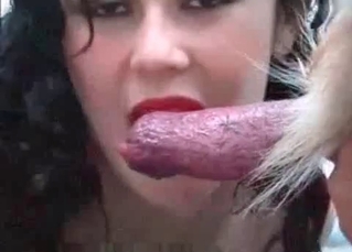 Dog fucking sluts caught on cam